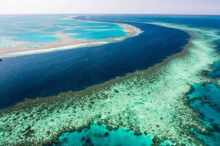 Reef Authority welcomes the Traditional Owners Reef plan - Marine ...