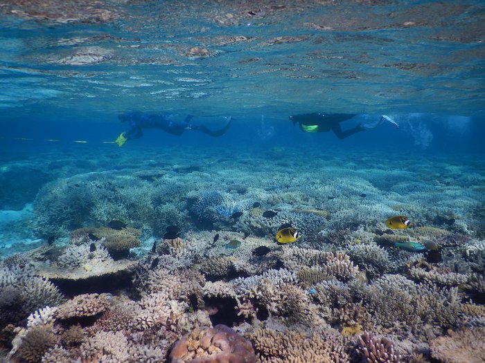 Investing in the long-term health of Australian Marine Parks - Marine ...